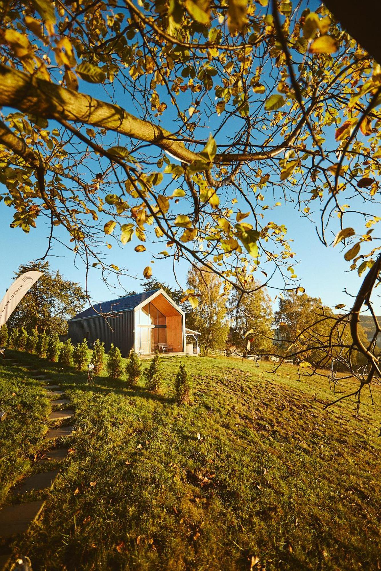 Scandinave Chalet Bran Zărneşti Eksteriør billede