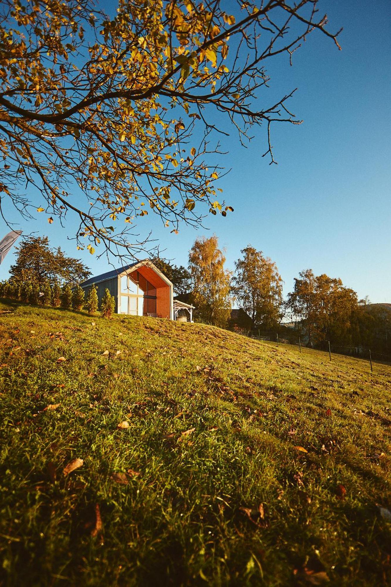 Scandinave Chalet Bran Zărneşti Eksteriør billede