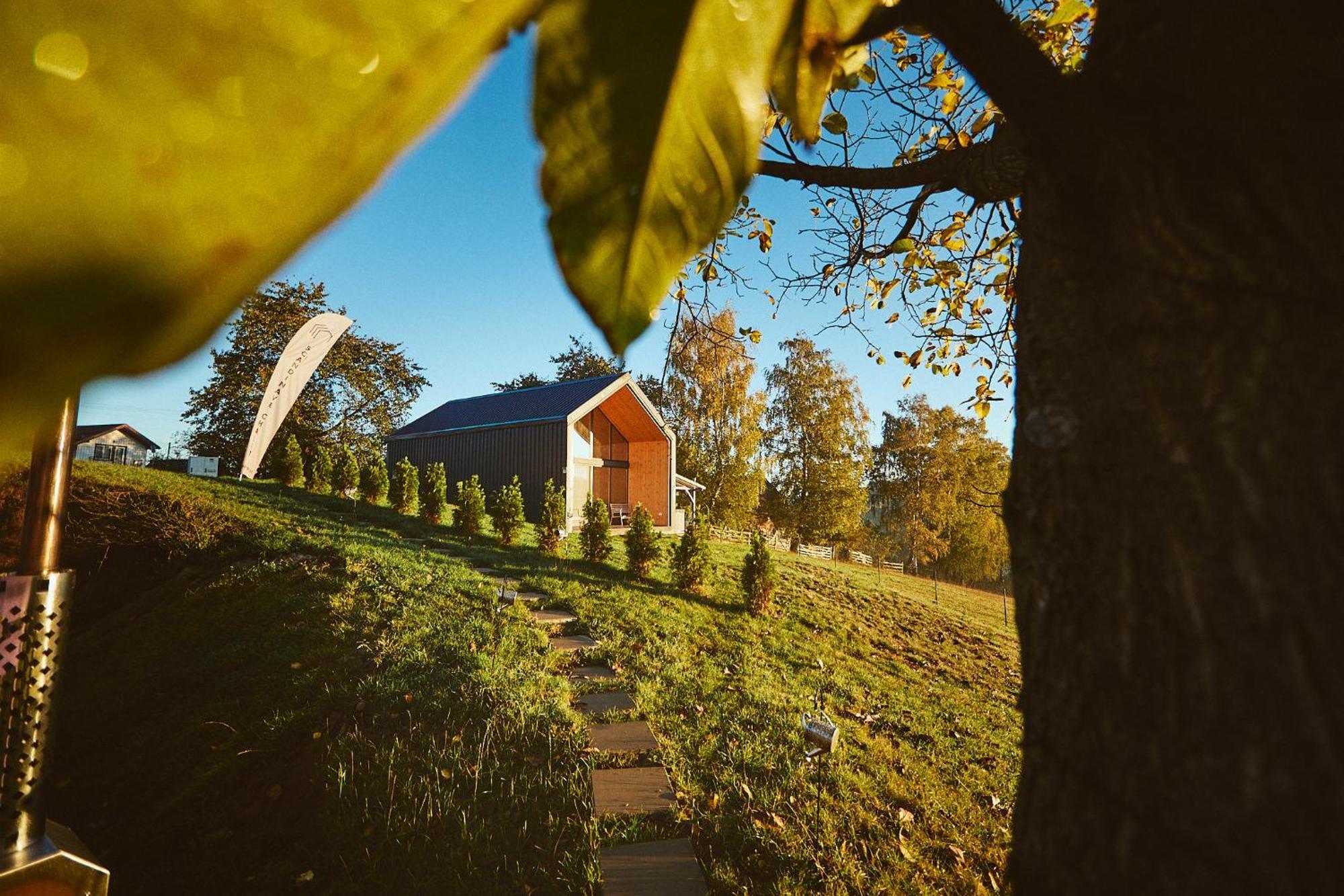 Scandinave Chalet Bran Zărneşti Eksteriør billede