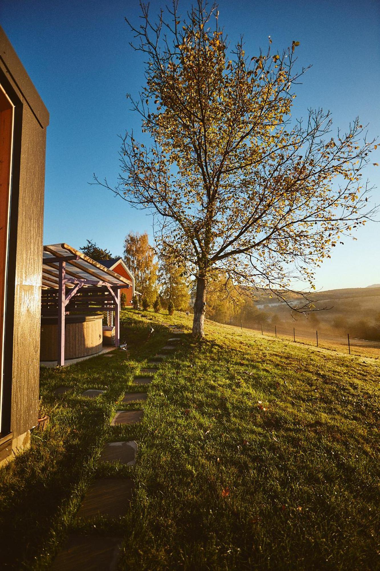 Scandinave Chalet Bran Zărneşti Eksteriør billede