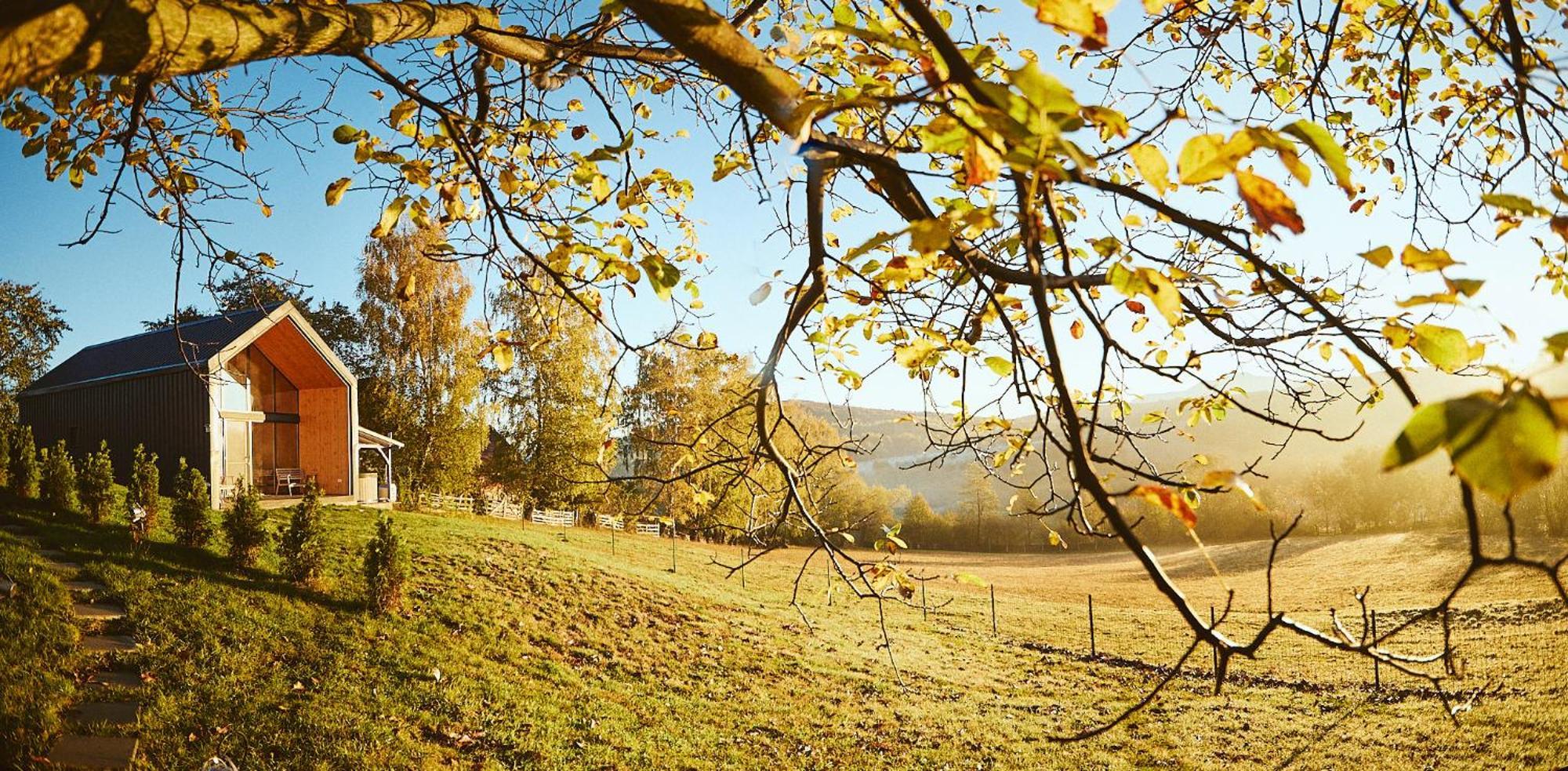 Scandinave Chalet Bran Zărneşti Eksteriør billede