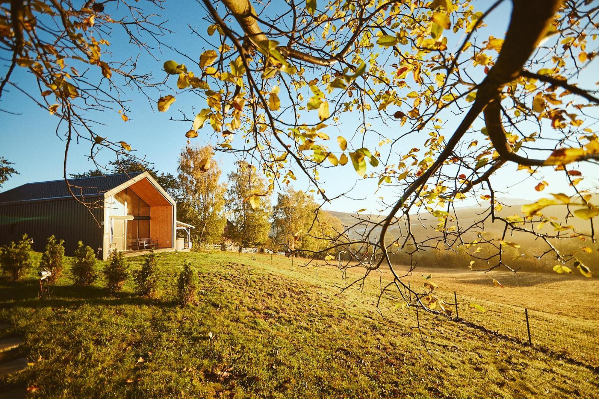 Scandinave Chalet Bran Zărneşti Eksteriør billede
