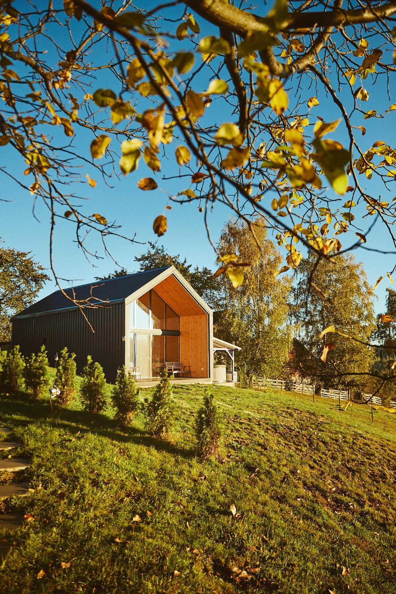 Scandinave Chalet Bran Zărneşti Eksteriør billede