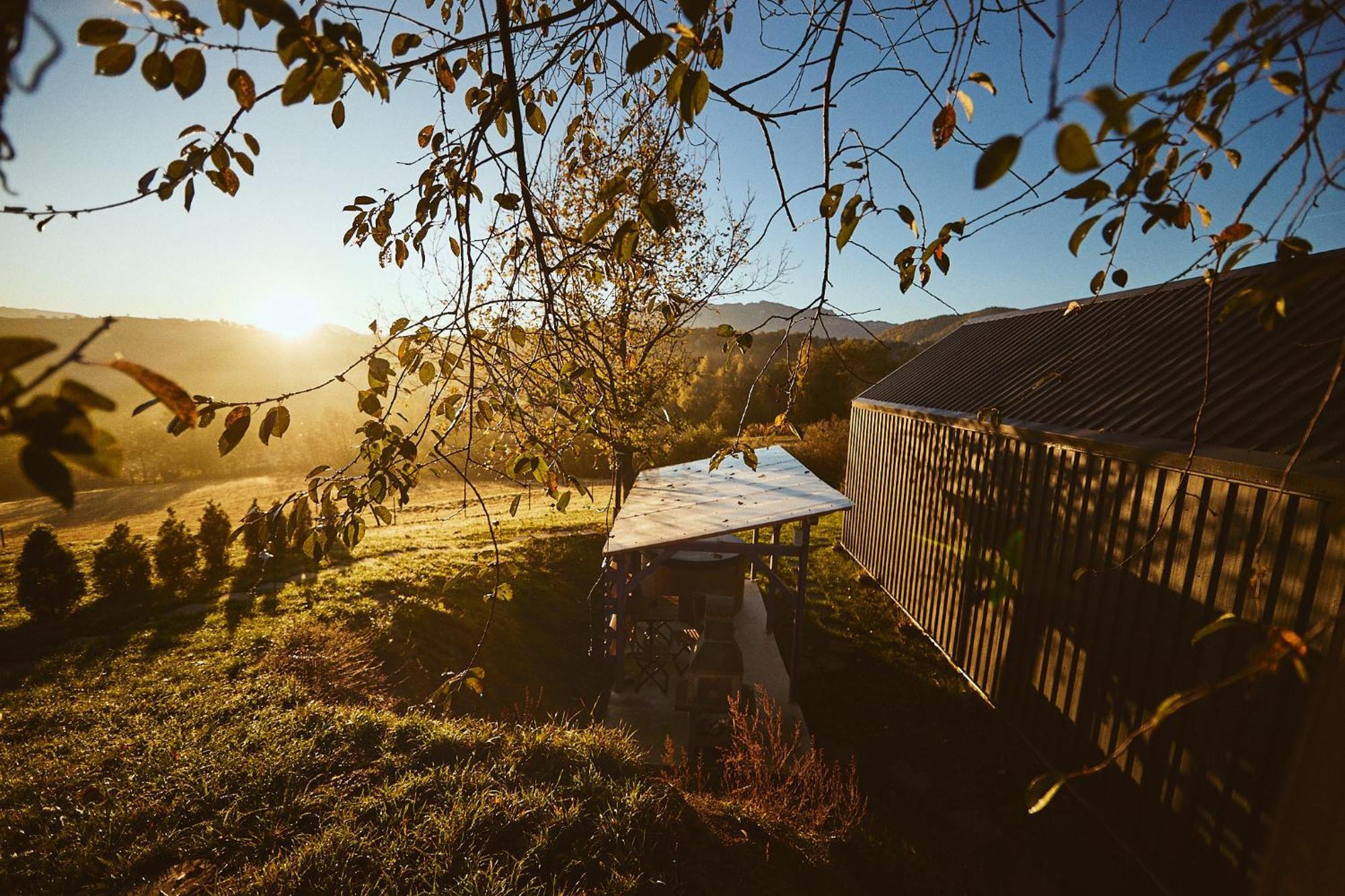 Scandinave Chalet Bran Zărneşti Eksteriør billede