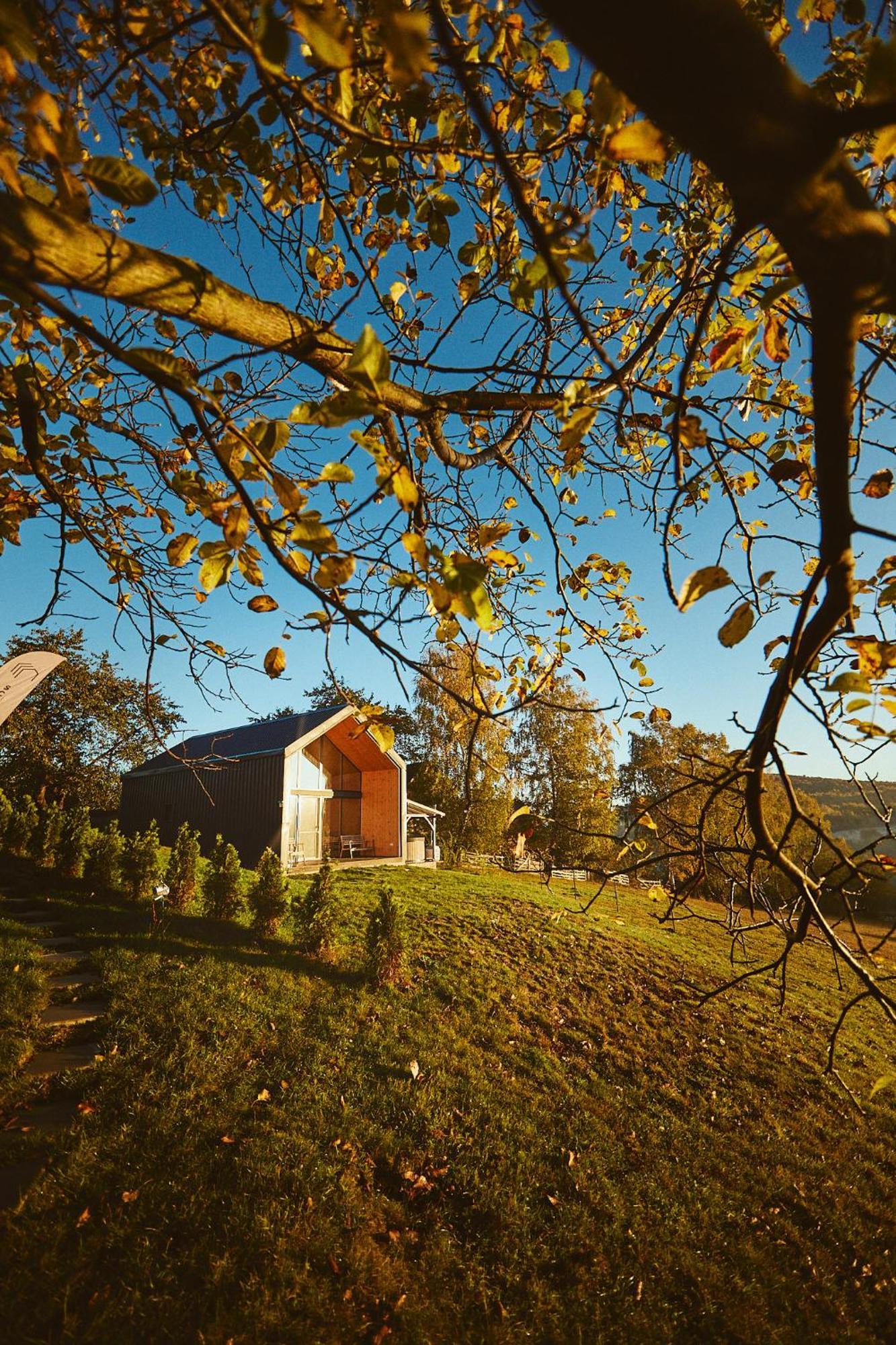 Scandinave Chalet Bran Zărneşti Eksteriør billede