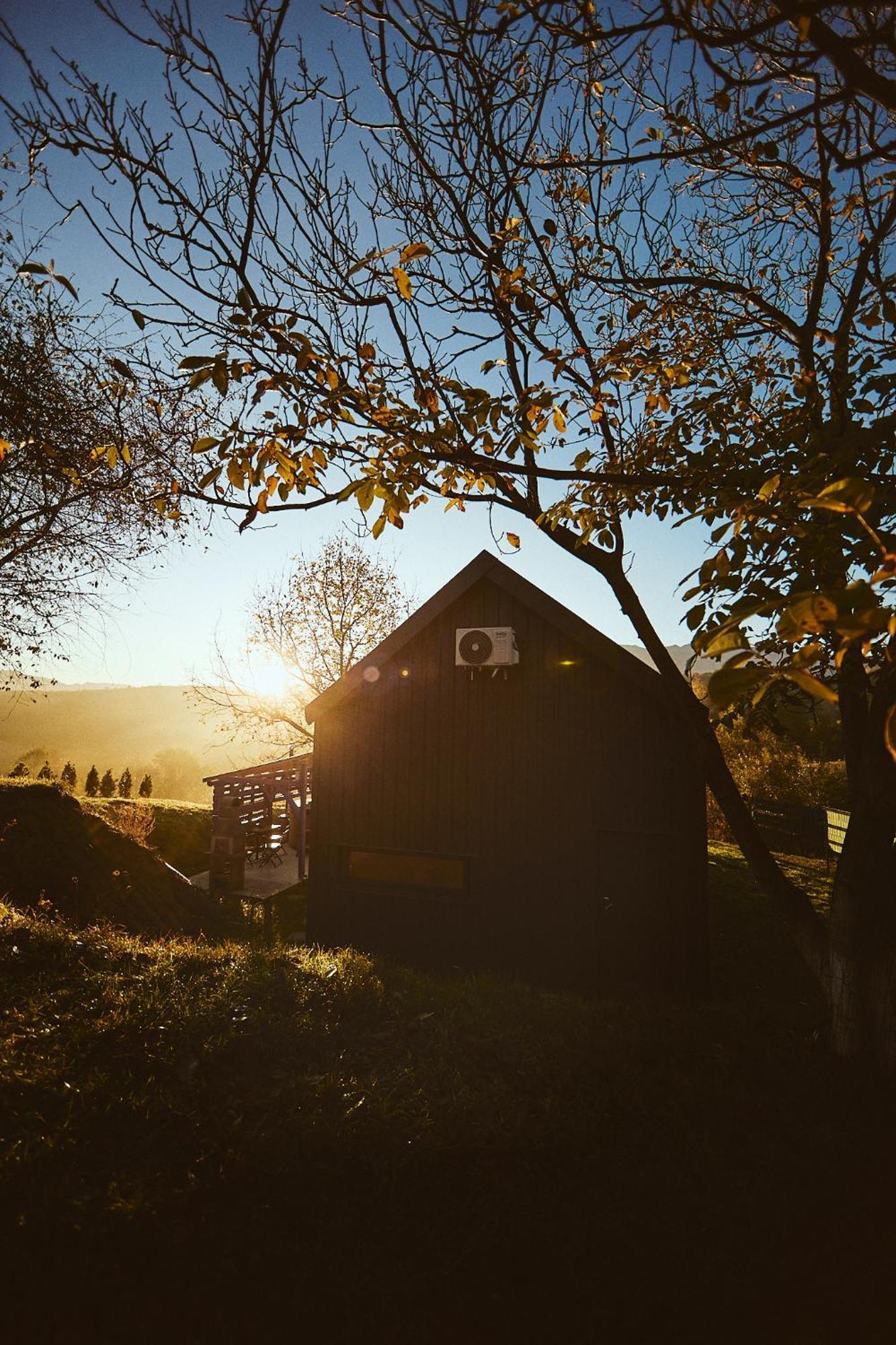 Scandinave Chalet Bran Zărneşti Eksteriør billede