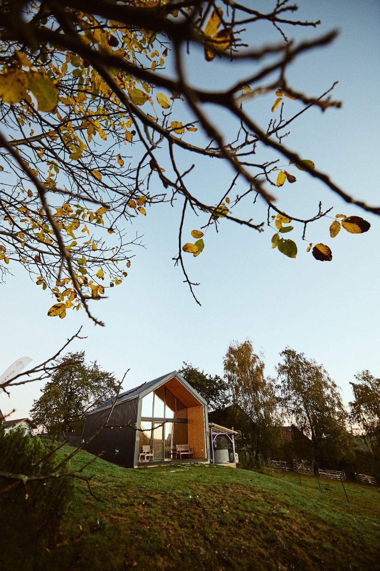 Scandinave Chalet Bran Zărneşti Eksteriør billede